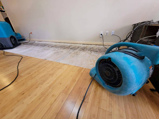 Professional Basement Flood Cleanup technician working in Saint Johns, FL
